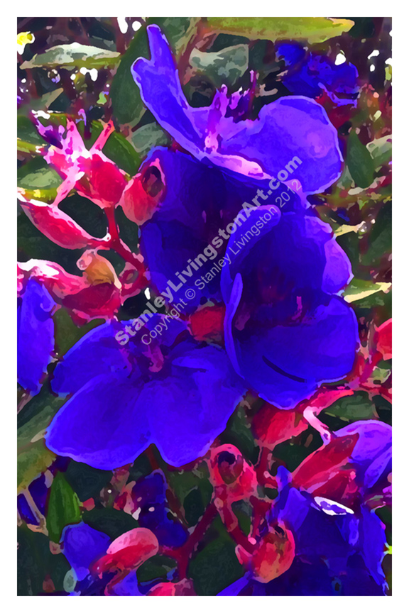 BlueVelvet_WMARK_Border_8x12_72dpi_092513.jpg