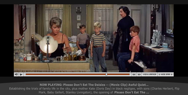 Please_Dont_Eat_Dasies_Player_72dpi.jpg